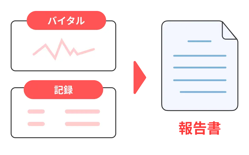 報告書