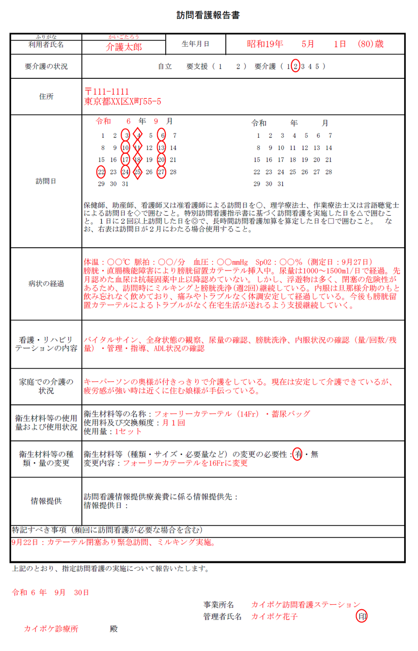 訪問看護報告書記入例